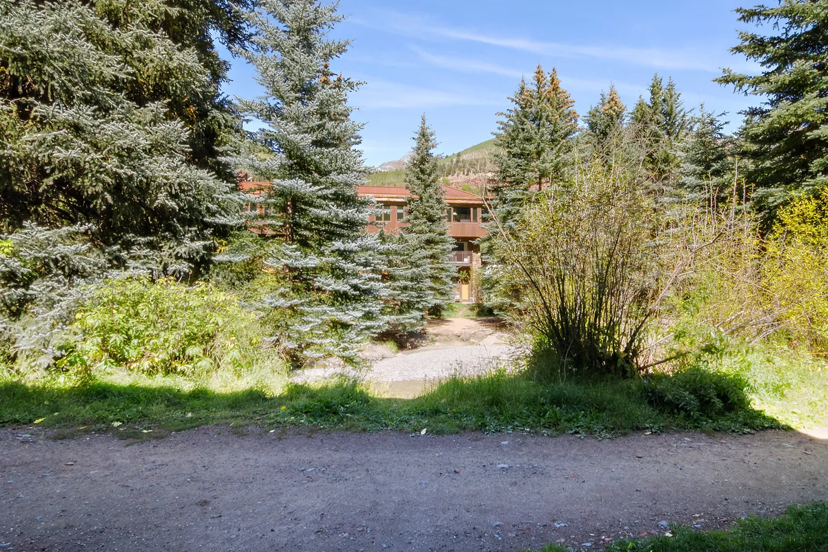 A serene pathway winds through tall evergreen trees with the building visible in the background, suggesting direct access to nature and river trails. The peaceful natural setting showcases the unique riverside location.
